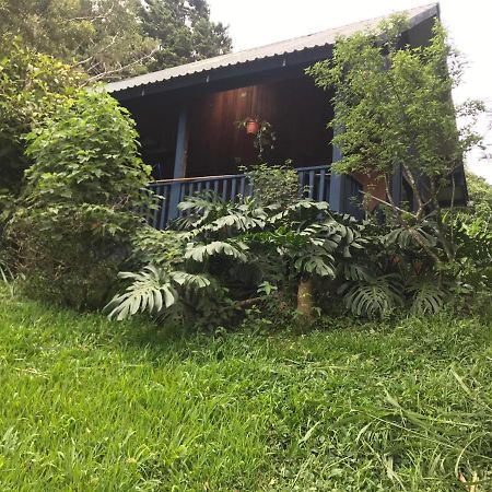 Casitas Rainy Days Hotel Monteverde Exterior photo