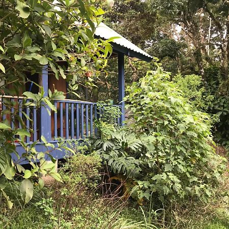 Casitas Rainy Days Hotel Monteverde Exterior photo