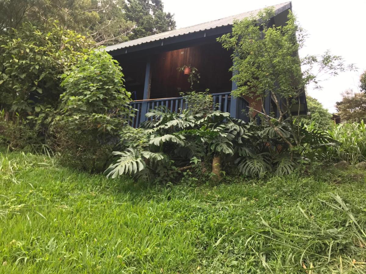 Casitas Rainy Days Hotel Monteverde Exterior photo