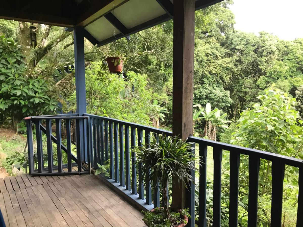 Casitas Rainy Days Hotel Monteverde Exterior photo