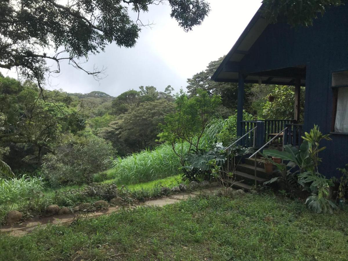 Casitas Rainy Days Hotel Monteverde Exterior photo